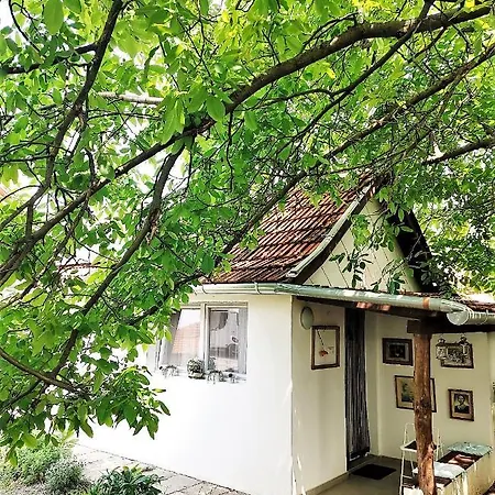 Kulturelet Vendeghaza Guest house *
