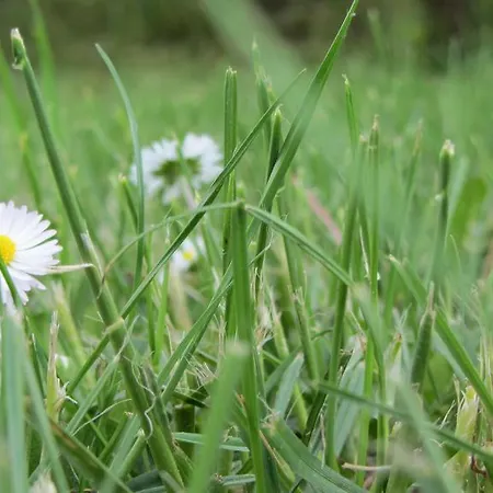 Konukevi Kulturelet Vendeghaza 3*